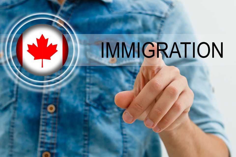 services immigration refugee lawyer