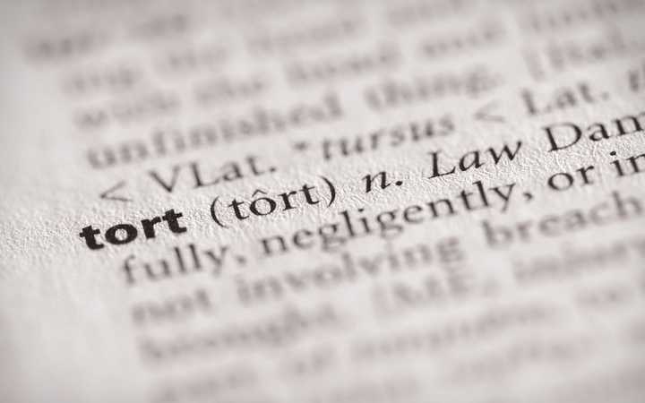 Tort Law in Canada Explained (With Examples)
