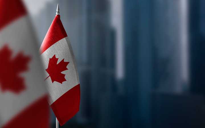 The Canadian Constitution - What does it consist of?