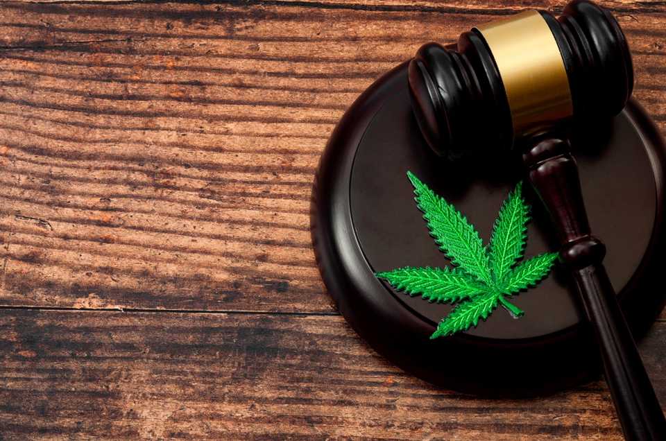 Cannabis cons quences juridique