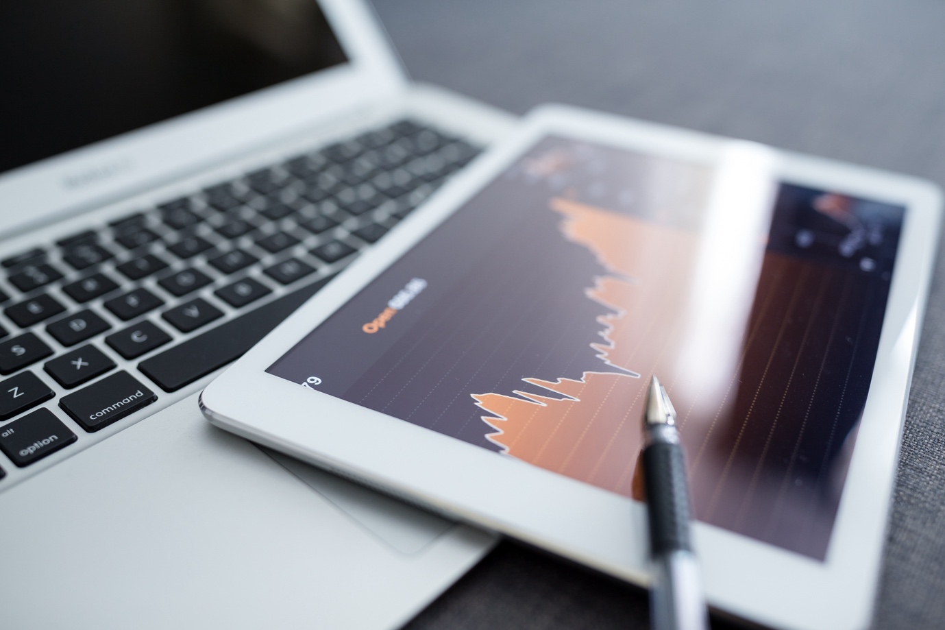 Qu'est-ce qu'un premier appel d'offres (IPO)?