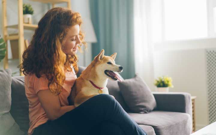 Animaux interdits: quels sont vos recours contre le locataire?