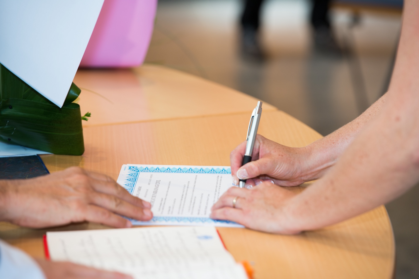 Quel est le rôle du Directeur de l'état civil du Québec?